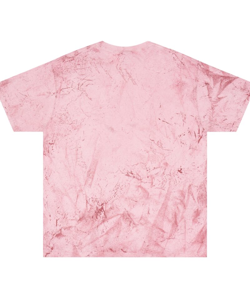 Stoner Apparel Small logo Tie-Dye Tee